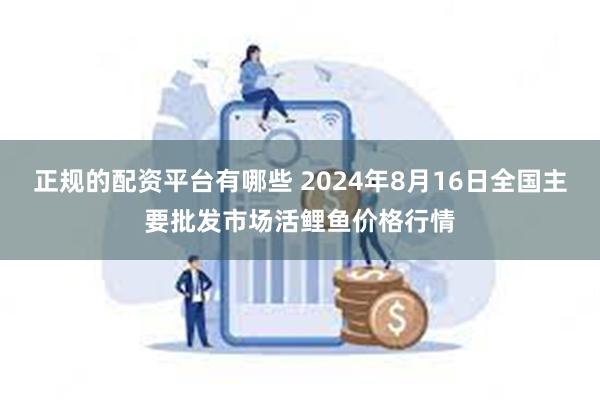 正规的配资平台有哪些 2024年8月16日全国主要批发市场活鲤鱼价格行情