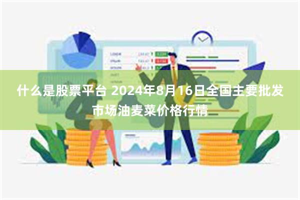 什么是股票平台 2024年8月16日全国主要批发市场油麦菜价格行情