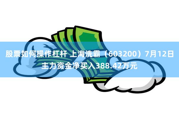 股票如何操作杠杆 上海洗霸（603200）7月12日主力资金净买入388.42万元