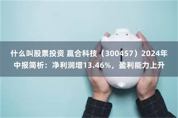 什么叫股票投资 赢合科技（300457）2024年中报简析：净利润增13.46%，盈利能力上升