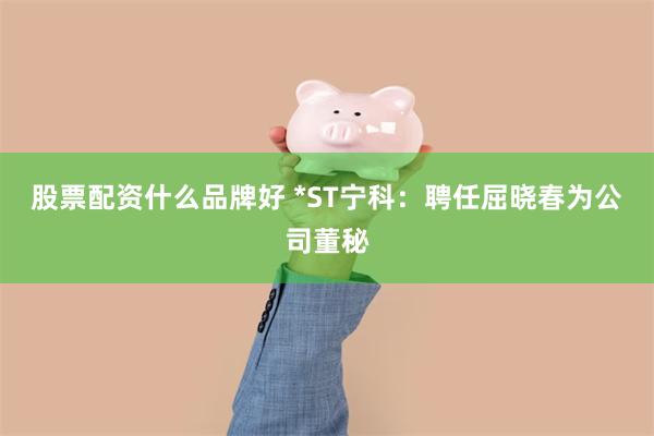 股票配资什么品牌好 *ST宁科：聘任屈晓春为公司董秘