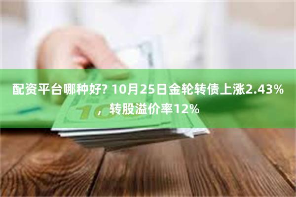 配资平台哪种好? 10月25日金轮转债上涨2.43%，转股溢价率12%