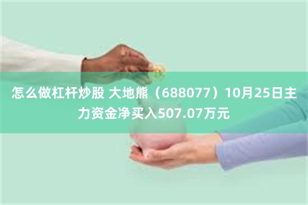 怎么做杠杆炒股 大地熊（688077）10月25日主力资金净买入507.07万元